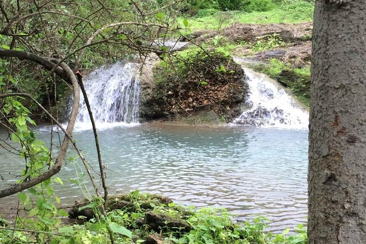 Wadi Ayun :Salalah Tours (Oman Shore excursions) - Image 5