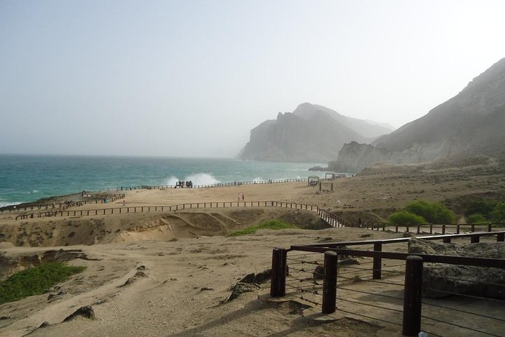 West Salalah 4 Hours Mughsail, Fazayah white Beach Safari Camels - Image 4