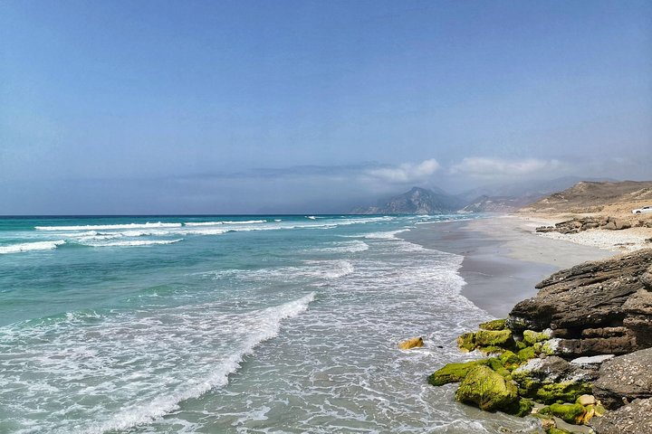 West Salalah, Al Mughsail Beach, White Beach, Frankincense Tree (Half day Tour) - Image 2