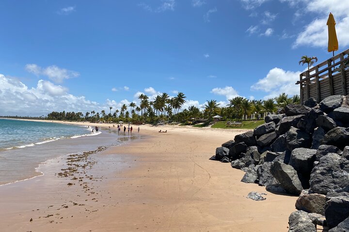 City Tour in Praia do Forte and Guarajuba in Bahia - Image 3