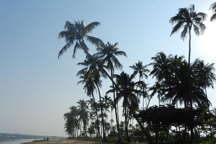 Coconut Coast and Praia do Forte - the famous beaches - Image 1