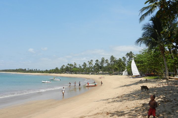 Coconut Coast and Praia do Forte - the famous beaches - Image 3