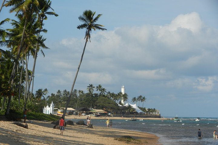 Coconut Coast and Praia do Forte - the famous beaches - Image 5