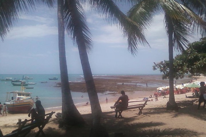Coconut Coast and Praia do Forte - the famous beaches - Image 2