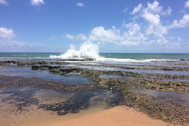 Costa de Camaçari Beach and Praia Tour - Image 5
