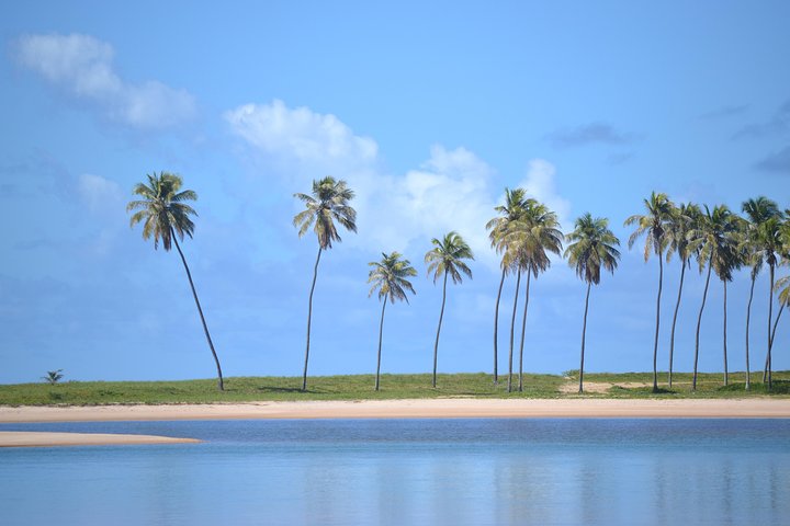Costa de Camaçari Beach and Praia Tour - Image 1