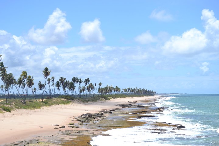 Costa de Camaçari Beach and Praia Tour - Image 4