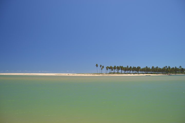Costa de Camaçari Beach and Praia Tour - Image 2