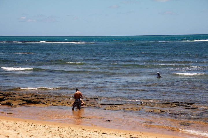 Praia do Forte with Guarajuba Beach - Day Trip from Salvador - Image 3