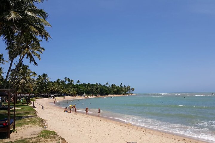 Private Coconut Coast & Praia do Forte Tour - from Salvador - Image 3