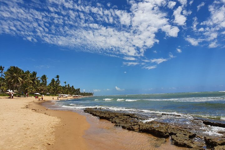 Private Coconut Coast & Praia do Forte Tour - from Salvador - Image 1