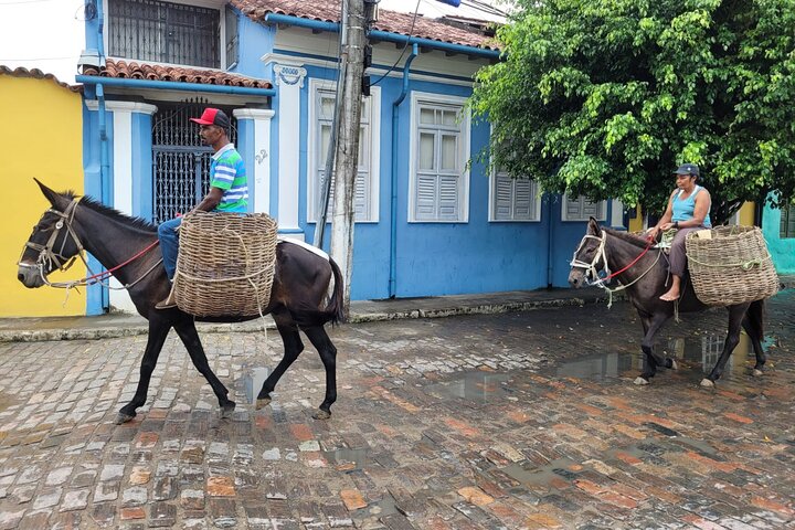 Private Countryside Full-Day Tour to Cachoeira with Lunch - Image 1