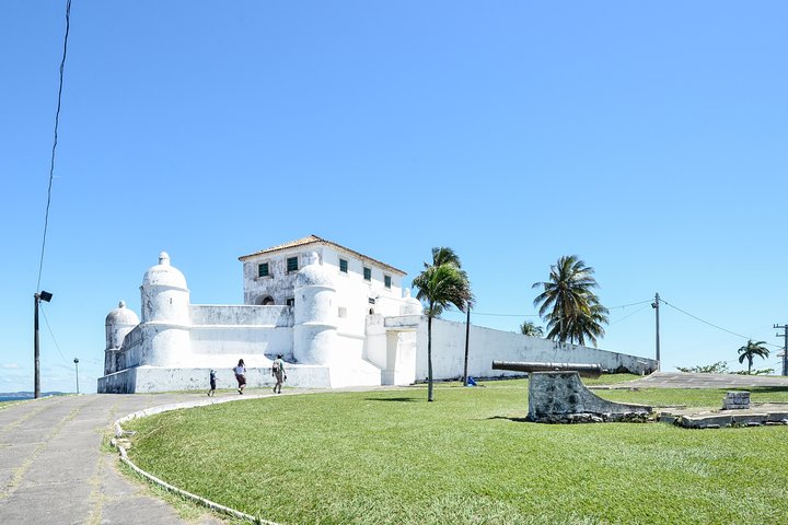 Private Shore Excursion of Salvador - Image 5