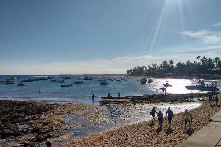 Private Tour from Salvador to Reconcavo or Baiano Coast - Image 3