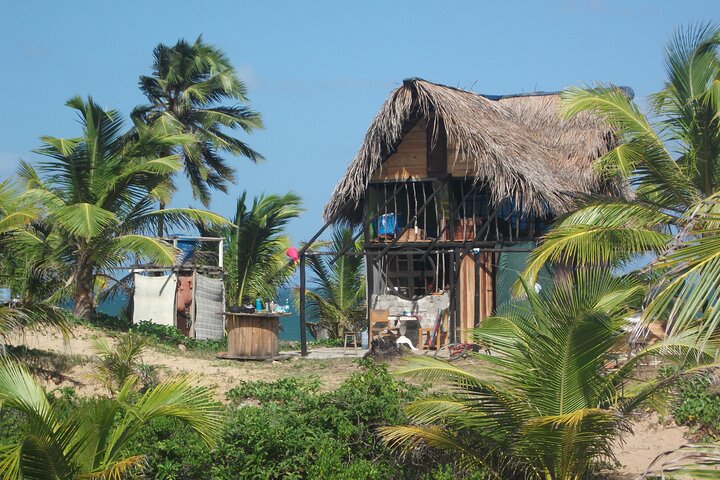 Private Tour from Salvador to Reconcavo or Baiano Coast - Image 5