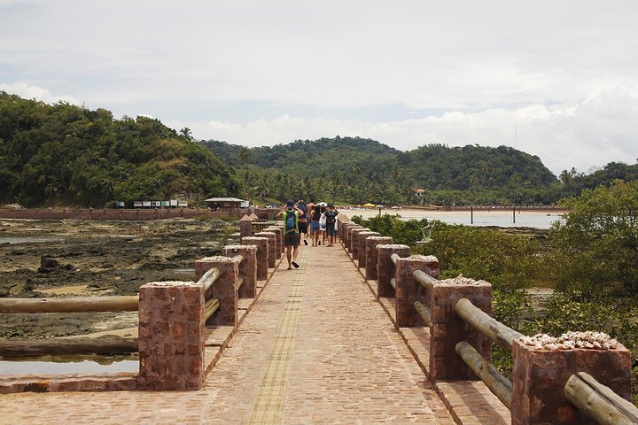 Schooner Tour to Ilha dos Frades and Itaparica from Salvador - Image 2