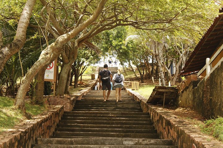Schooner Tour to Ilha dos Frades and Itaparica from Salvador - Image 5