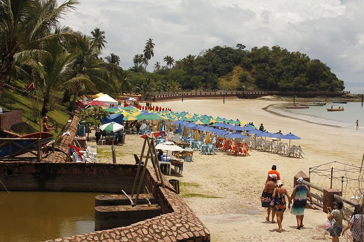 Schooner Tour to Ilha dos Frades and Itaparica from Salvador - Image 4