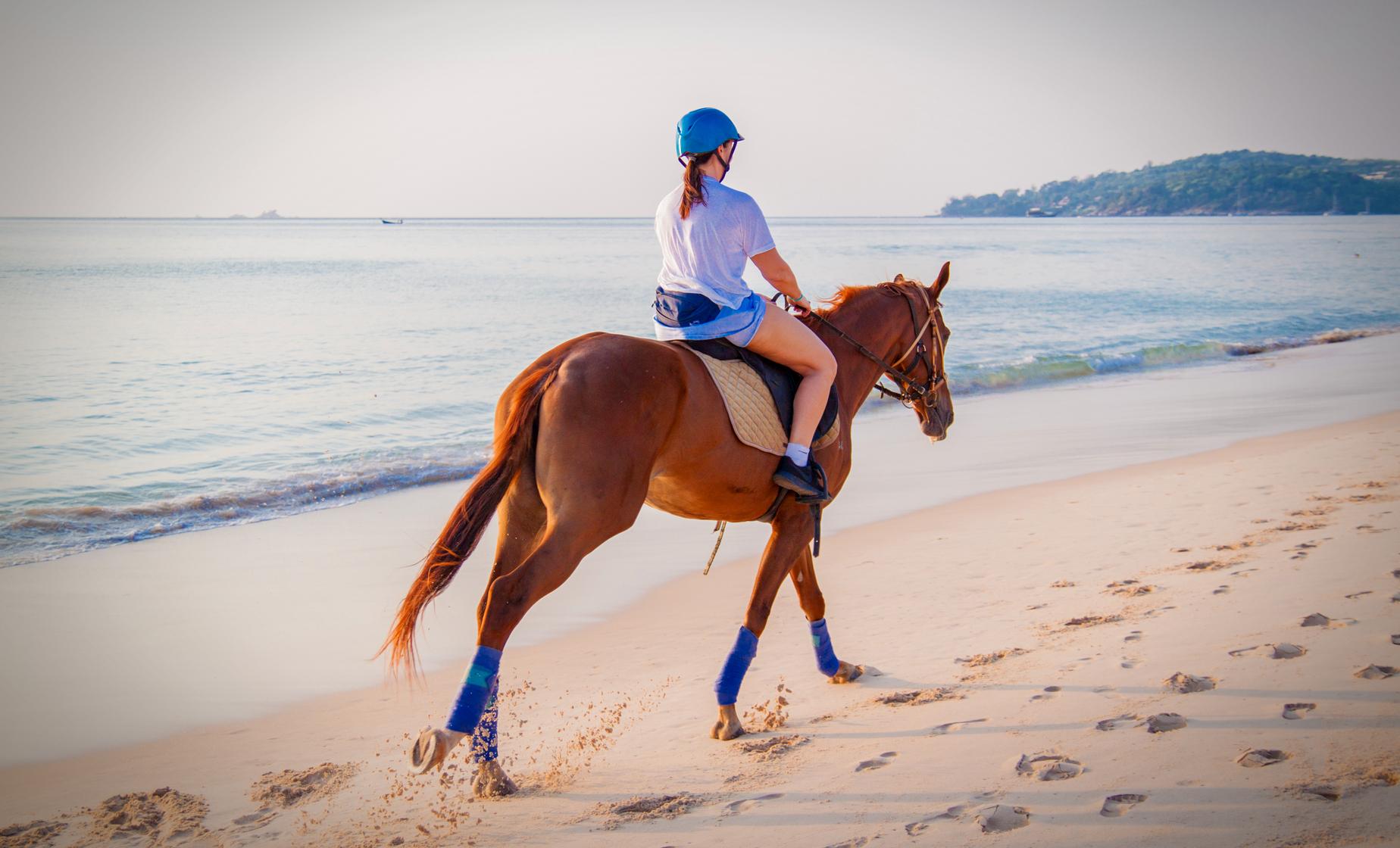 Zip, Waterfall and Horseback Riding - Image 1