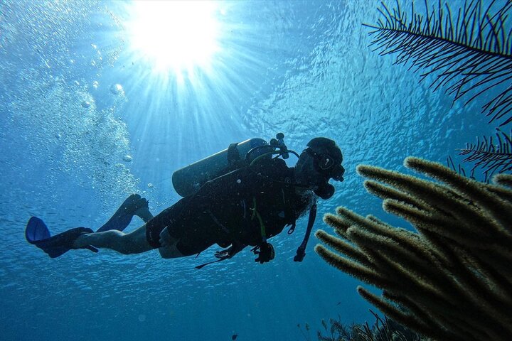 Private Diving Experience for Beginners in San Andres Islands - Image 3