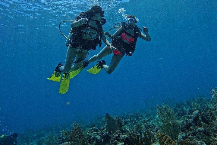 Private Diving Experience for Beginners in San Andres Islands - Image 2