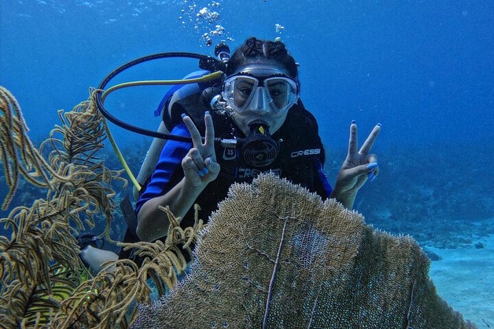 Private Diving Experience for Beginners in San Andres Islands - Image 5