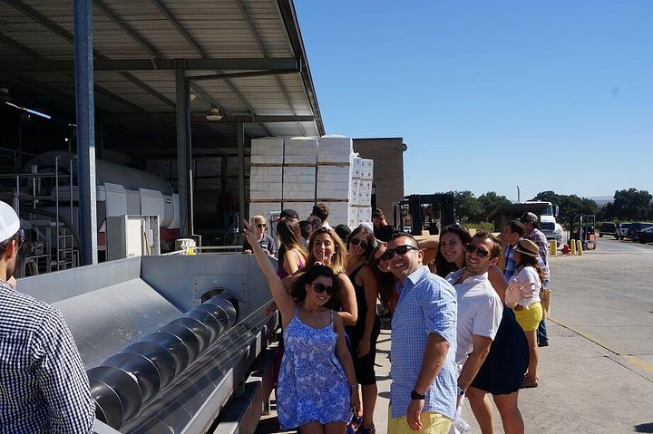 6-Hour Private Santa Ynez Limousine Wine Tour - Image 3