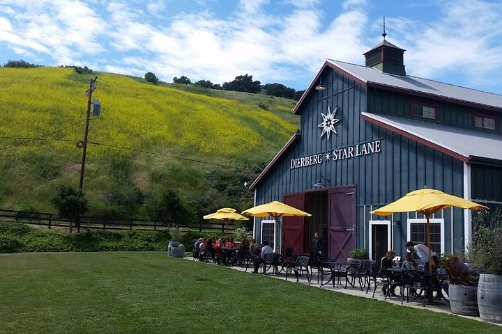 Private Wine Tasting Tour From Santa Ynez, Solvang or Buellton! - Image 2