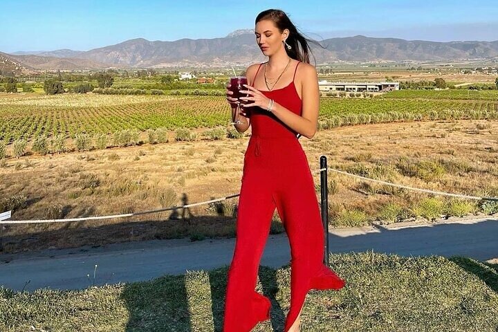All-Inclusive Private Wine Tour in Baja - Image 2