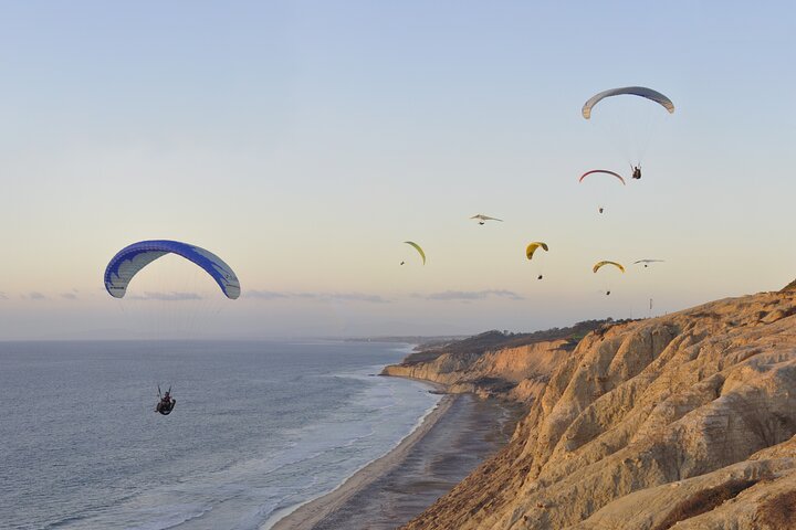 Private Full Day Coastal Tour from San Diego with private driver/guide - Image 2