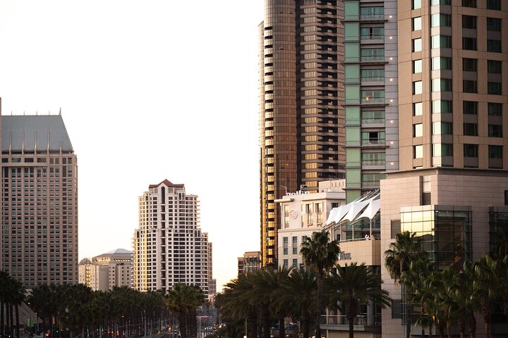 Private Half-Day Tour of San Diego with a driver-guide - Image 2