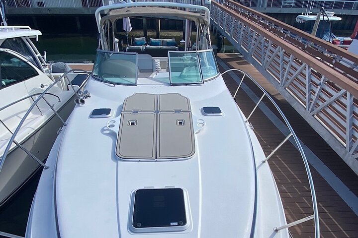 Private Luxury 45' Bay Cruiser Tour in San Diego: Suitable for Any Events  - Image 3