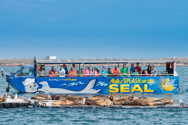 San Diego Shore Excursion: San Diego Seal Tour - Image 2