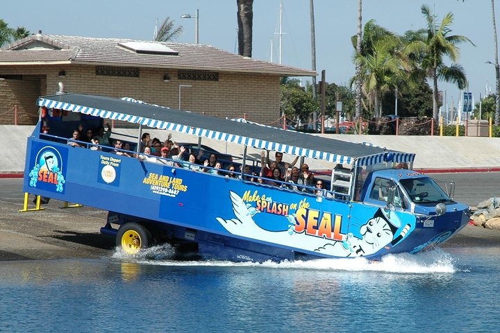 San Diego Shore Excursion: San Diego Seal Tour - Image 1