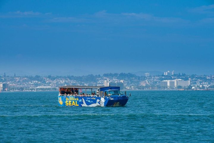 San Diego Shore Excursion: San Diego Seal Tour - Image 4