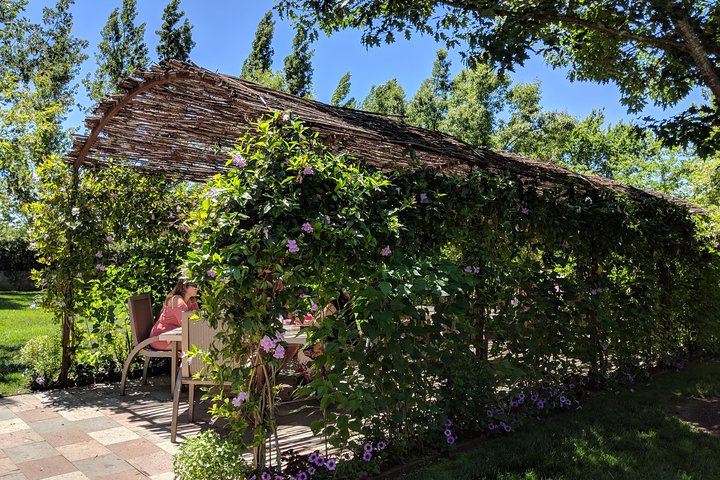 6 Hour Napa and Sonoma Valley Wine Tour from San Francisco - Image 3