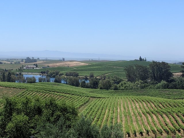 6 Hour Napa and Sonoma Valley Wine Tour from San Francisco - Image 1