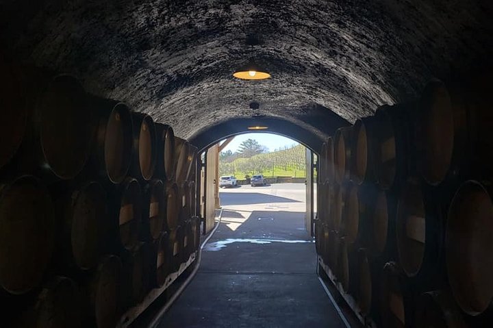 6 Hour Sonoma Wine Tasting Tour from San Francisco - Image 4