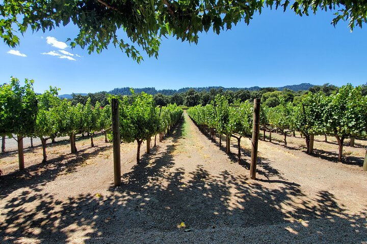 6 Hour Sparkling Wine Tour - Napa Valley - Image 5