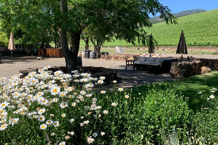 8-Hour Custom Private Napa and Sonoma Wine Tour - Image 2