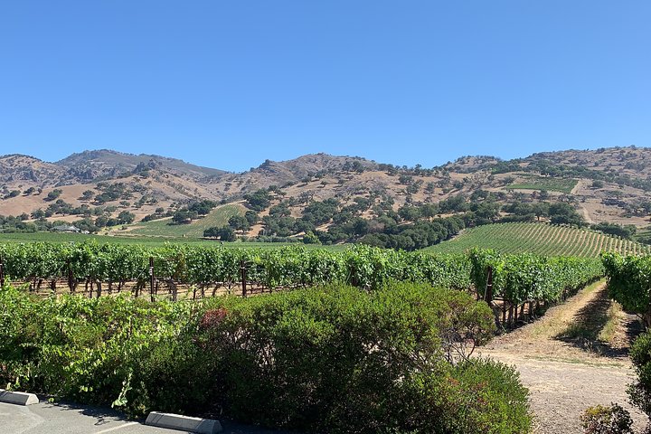 8-Hour Custom Private Napa and Sonoma Wine Tour - Image 5