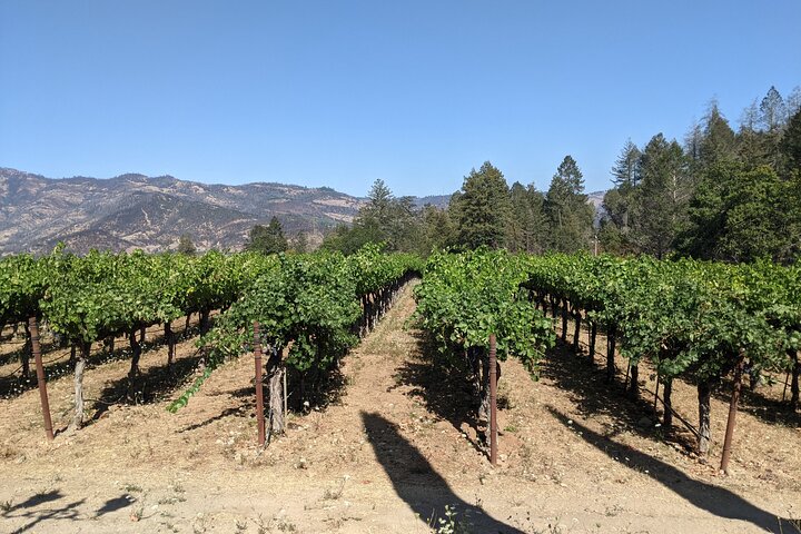 8 Hour Napa and Sonoma Valley tour - Image 2