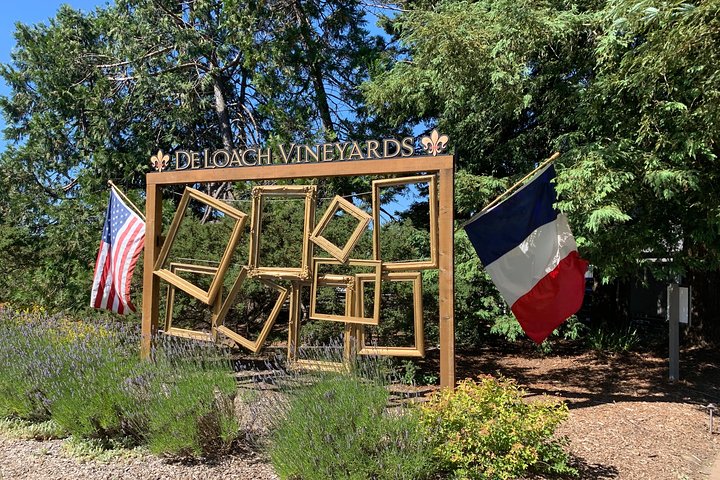 8-Hour Private Sonoma or Napa Wine Tour with Concierge Service - Image 5