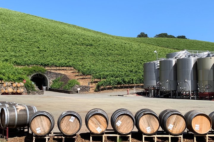 8-Hour Private Sonoma or Napa Wine Tour with Concierge Service - Image 4