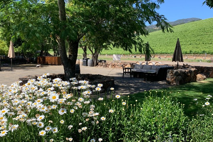 8-Hour Private Sonoma or Napa Wine Tour with Concierge Service - Image 3