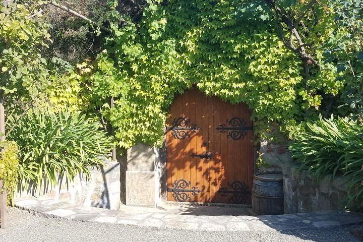 8 Hour Private Tour in Napa Valley Winery - Image 3
