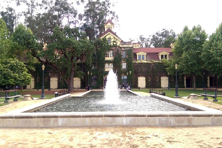 8 Hour Private Wine Country Tour (Sedan, SUV or Limo) - Image 3