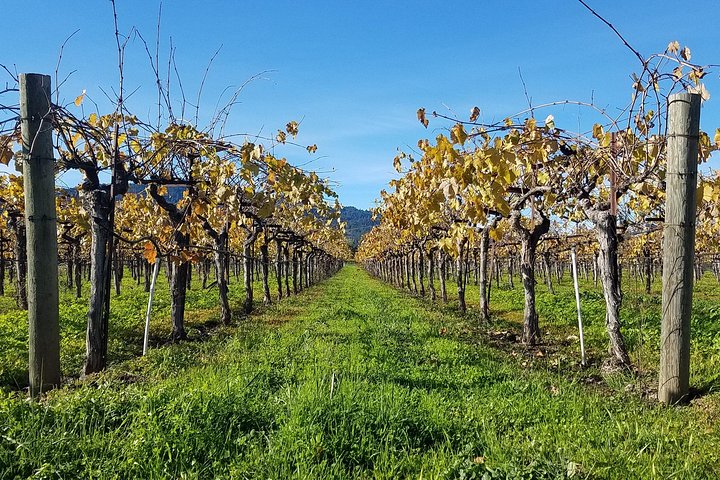 8 Hour Private Wine Country Tour (Sedan, SUV or Limo) - Image 2