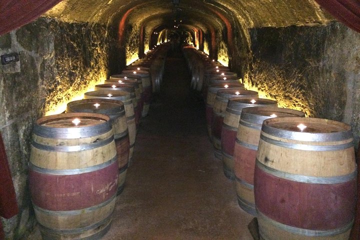 8-Hours Napa Wine Tour from San Francisco Private Crossover up to 6 People - Image 4