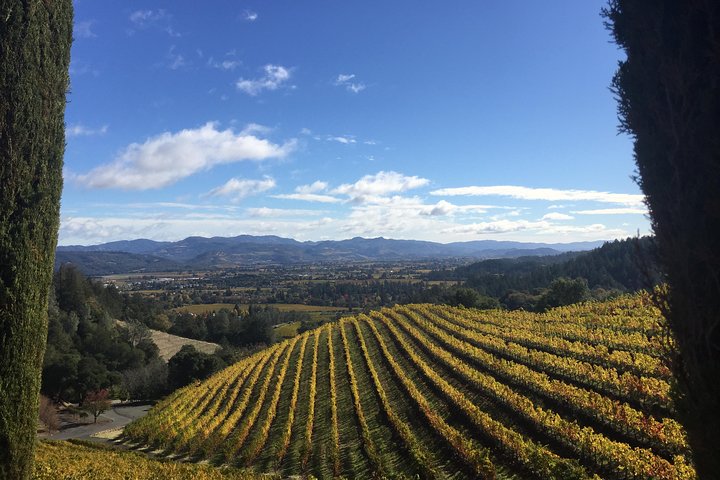 8-Hours Napa Wine Tour from San Francisco to Napa CA , Sedan up to 4 People - Image 2